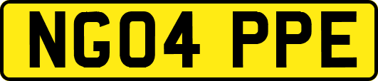 NG04PPE