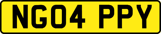 NG04PPY
