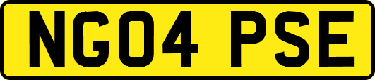 NG04PSE