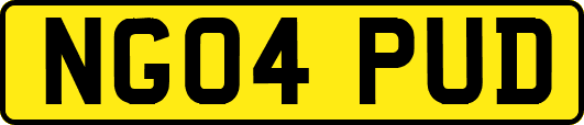 NG04PUD