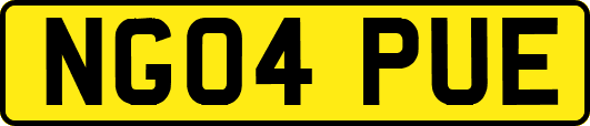 NG04PUE