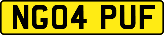 NG04PUF