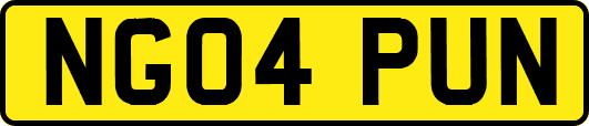 NG04PUN