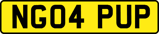 NG04PUP