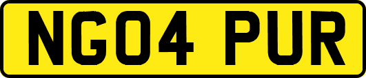 NG04PUR