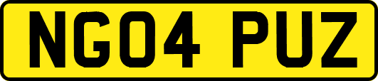 NG04PUZ