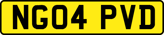 NG04PVD