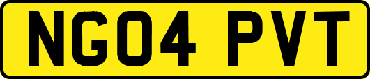 NG04PVT