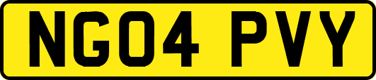 NG04PVY