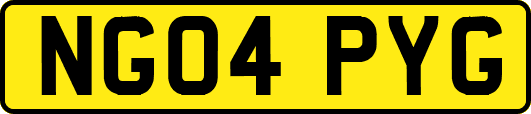 NG04PYG
