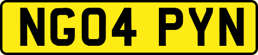NG04PYN