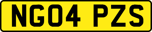 NG04PZS
