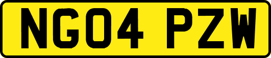 NG04PZW