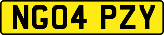 NG04PZY