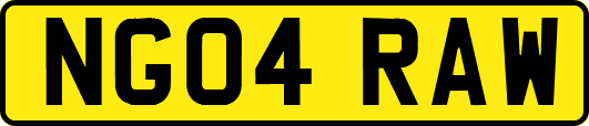 NG04RAW