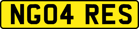 NG04RES