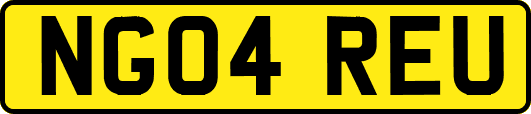 NG04REU