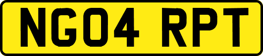 NG04RPT