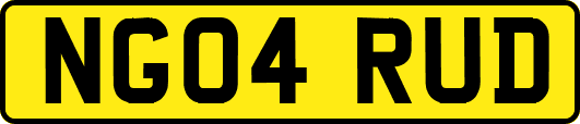 NG04RUD