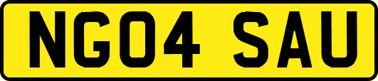 NG04SAU