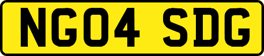NG04SDG