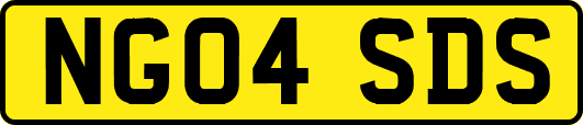 NG04SDS