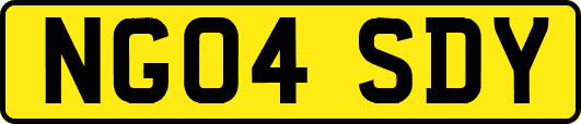 NG04SDY