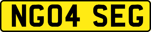 NG04SEG