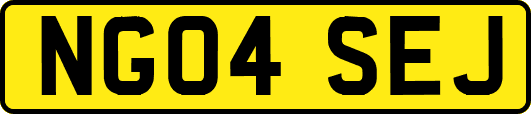 NG04SEJ