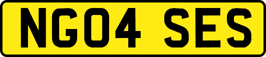 NG04SES