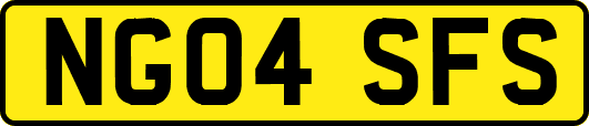 NG04SFS