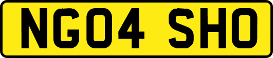 NG04SHO