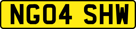 NG04SHW