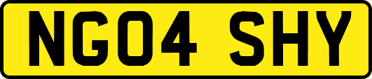 NG04SHY