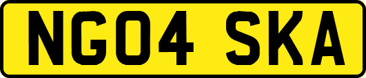 NG04SKA