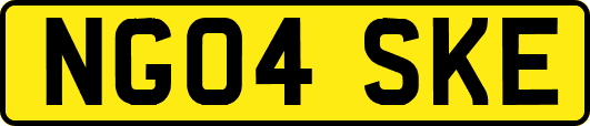 NG04SKE