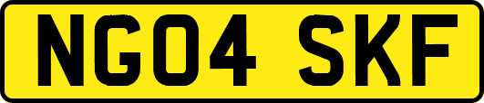 NG04SKF