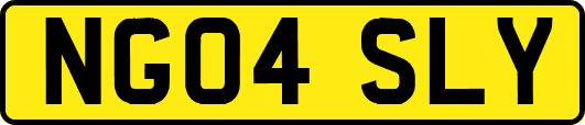 NG04SLY