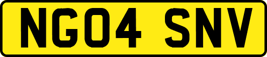 NG04SNV