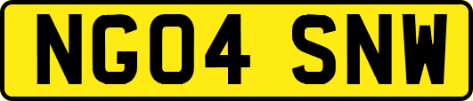 NG04SNW