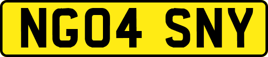 NG04SNY
