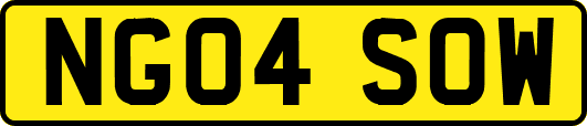 NG04SOW