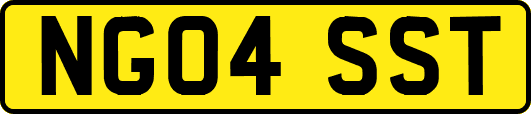 NG04SST