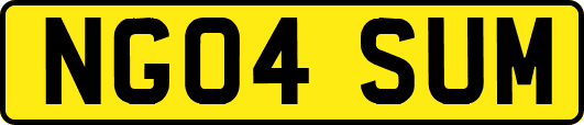 NG04SUM