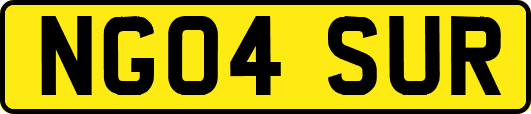 NG04SUR