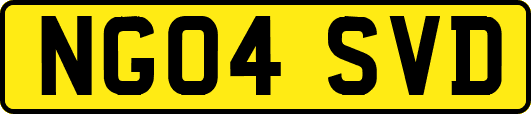 NG04SVD