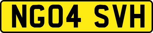 NG04SVH