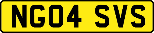 NG04SVS