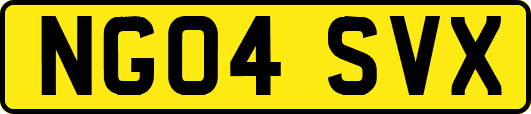 NG04SVX