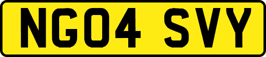 NG04SVY